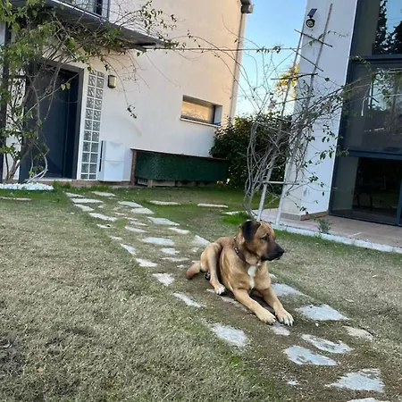 Serene 3-bedroom In Kyceiz, Turkey Koycegiz (Mugla)